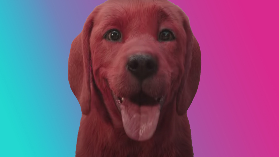 Are You A Fan Of The New Clifford The Big Red Dog Cbbc Newsround